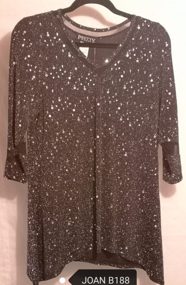 Sparkle Tunic Top